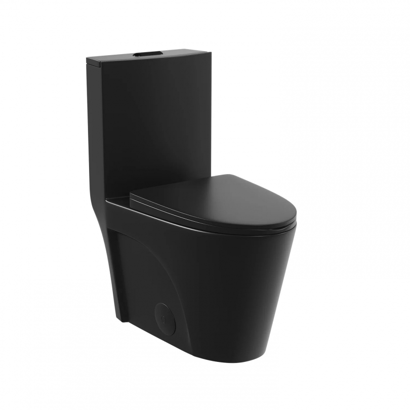 ACE One-Piece Elongated Toilet, 1.1/1.6 GPF Dual-Flush