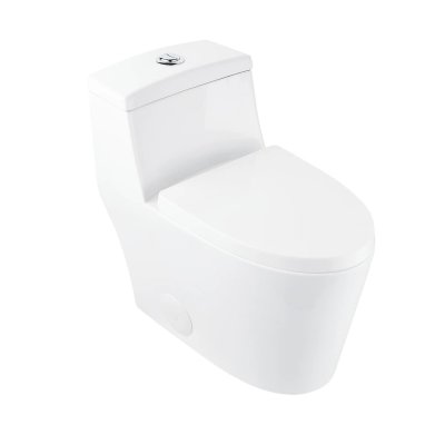 PRISM One-Piece Elongated Toilet, Dual-Flush Glazed Surface with Multiple Colors-White