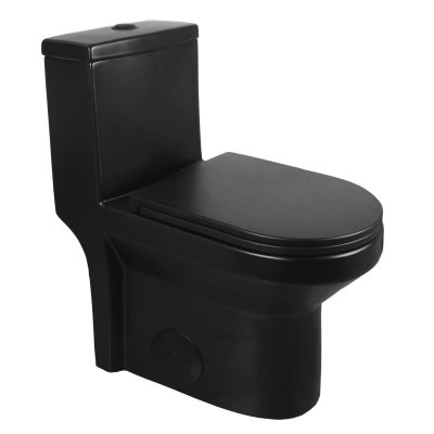 LIBERTY One-Piece Round Toilet, 12" Rough-in Dual-Flush with Multiple Colors -Black